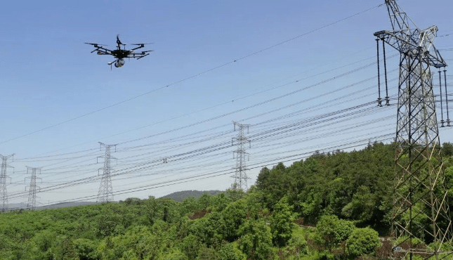 1683543231808418.png 167626608071811746.png